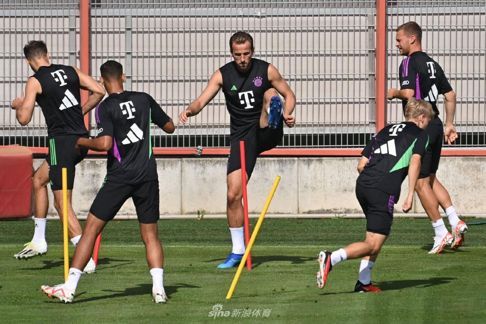 这一决定不 这一决定不